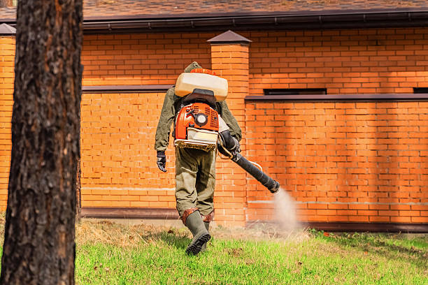 Trusted Mosquito Control service in Rancho Cordova, CA - Nex Pest Control